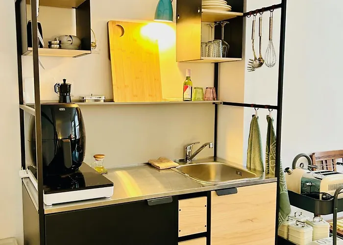 Apartment Centre Canal View Or Terrace View Leiden